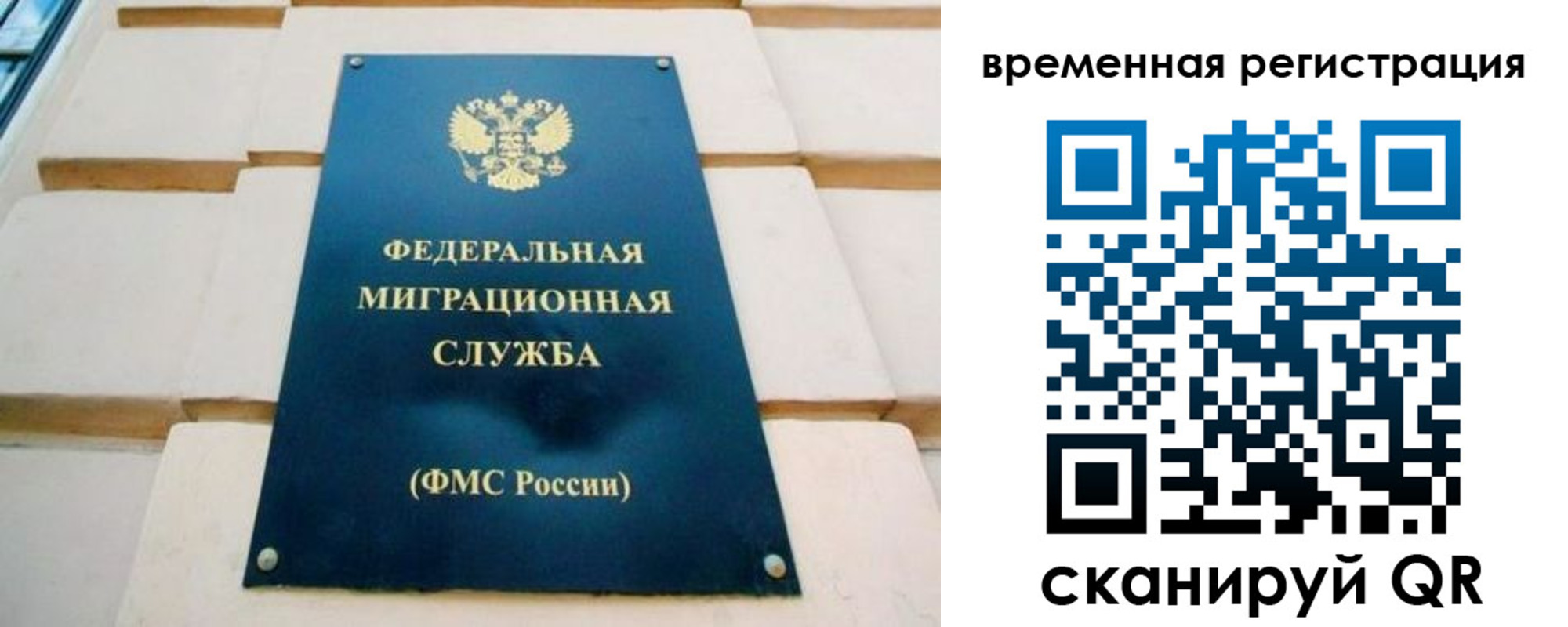 прописка гарантия в Шатуре